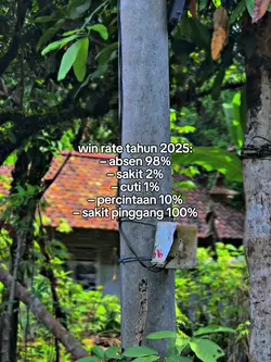 win rate 2025