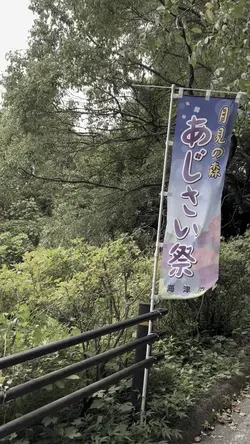 月見の森　紫陽花祭り