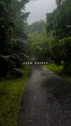 calm nature