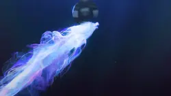 illusion dragon