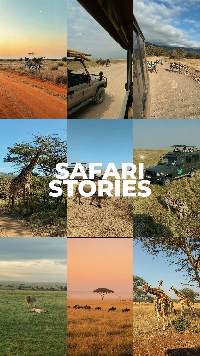 safari hikayeleri
