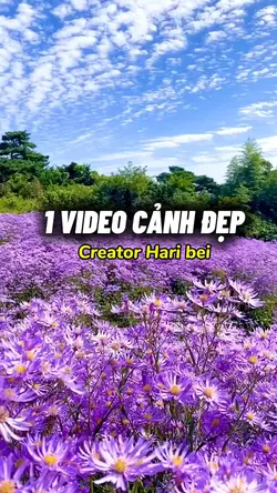 1 Video cảnh đẹp