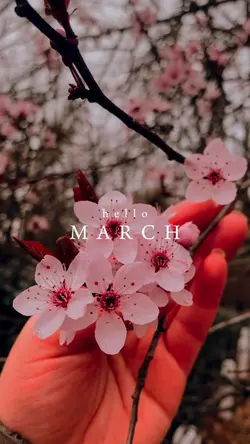 hello March 🌸