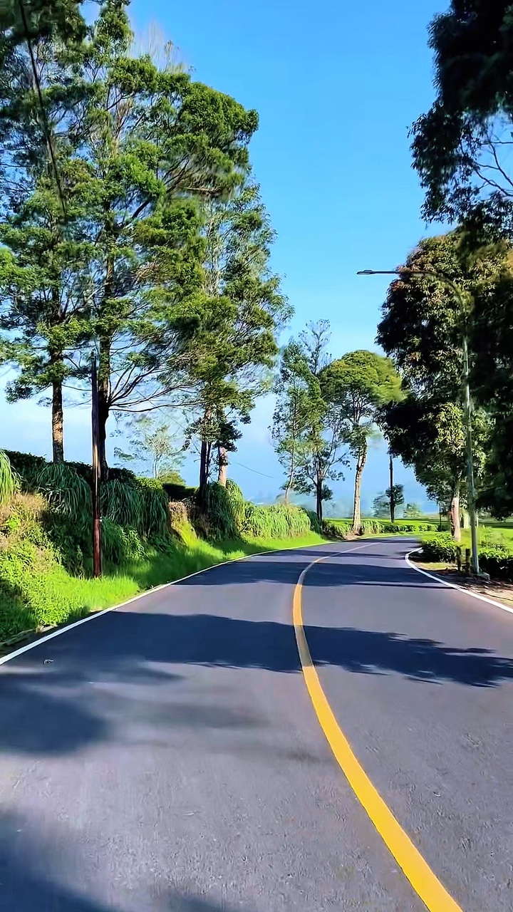 road trip 6 video