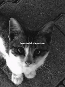 haruskah ku lepaskan
