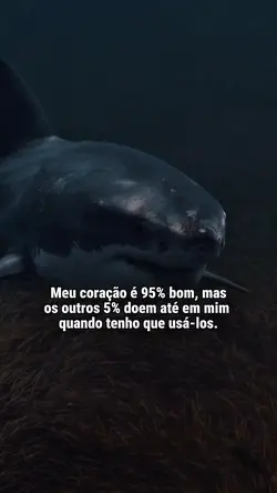 FRASE DO DIA