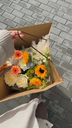 vlog