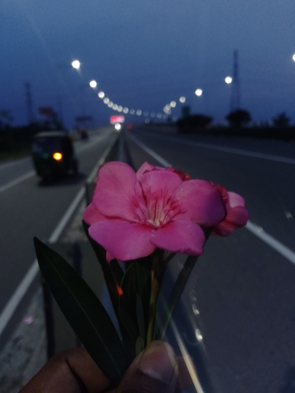 ছলনাময়ী নারী ||