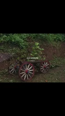 Çok güzel gülüyorsun