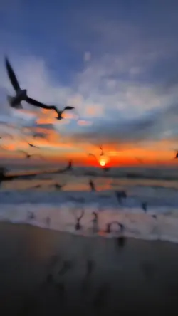 SlowMo/Filter