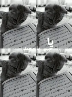 Ya nabi salam alaika