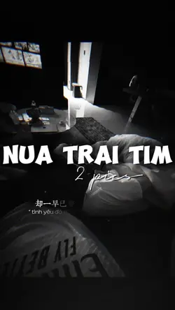 NỬA TRÁI TIM REMIX