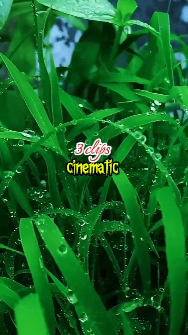 3 clips cinematic 
