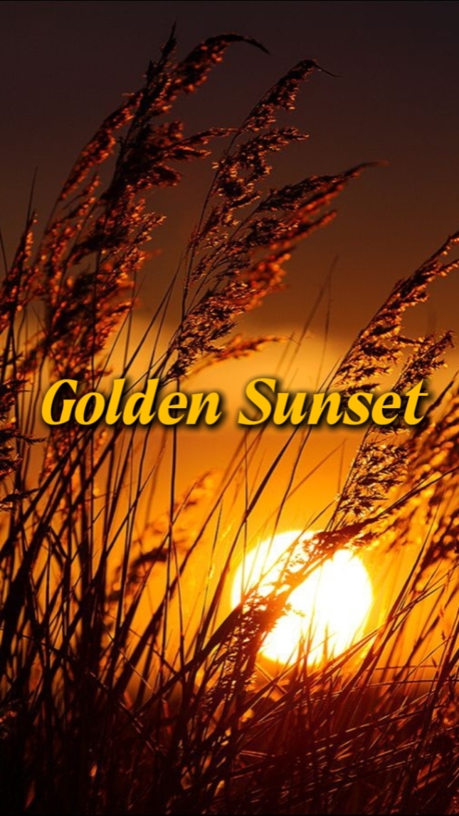 Golden Sunset
