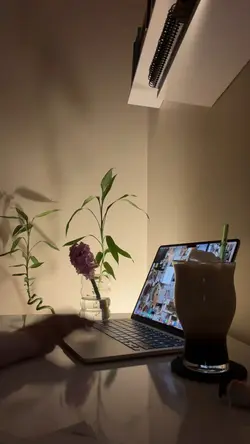 Study Timelapse 
