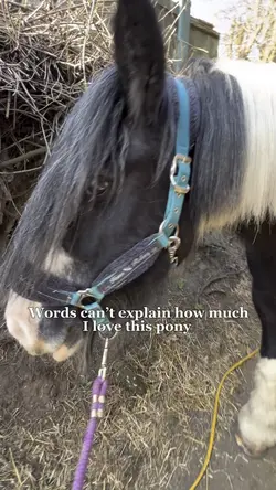 Love this pony 