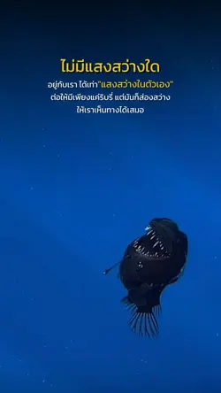 แสงสว่างในตัวเอง