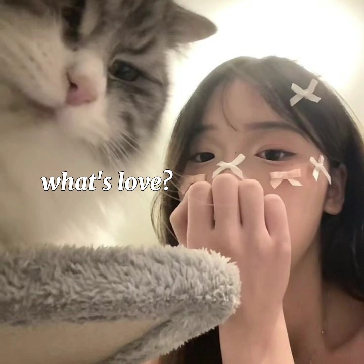 텍스트를 변경할 수 있음