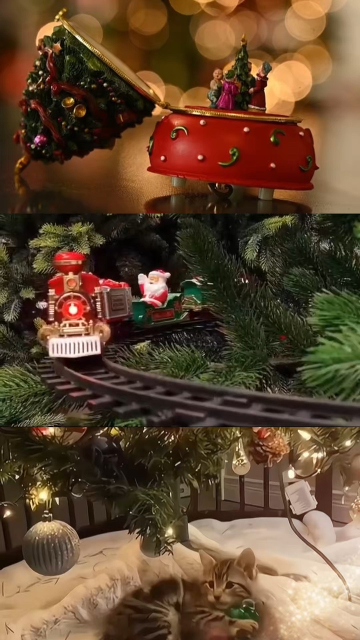 Christmas 
