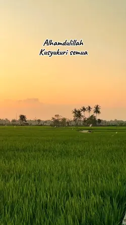 Alhamdulillah ... 