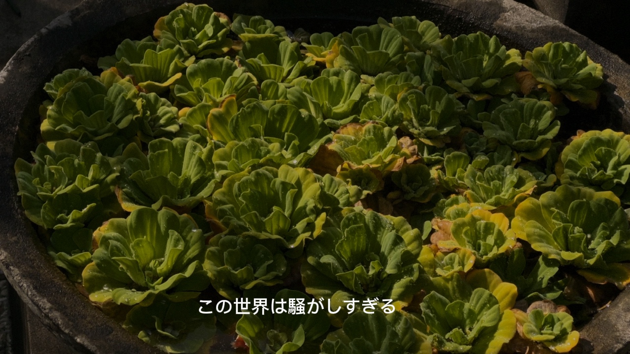 Sinematik Suzume
