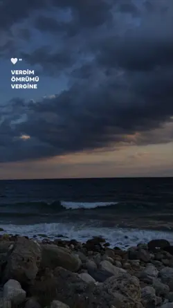 yeni şablon 