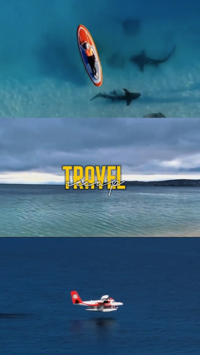 Reisezusammenfassung 