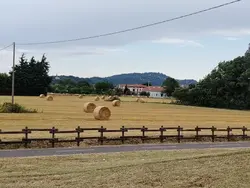 Italian Nature