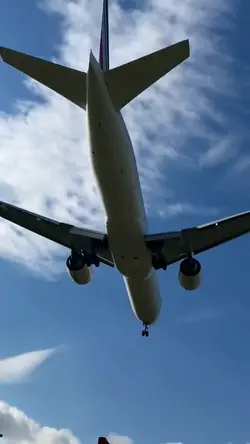 funny happy birthday