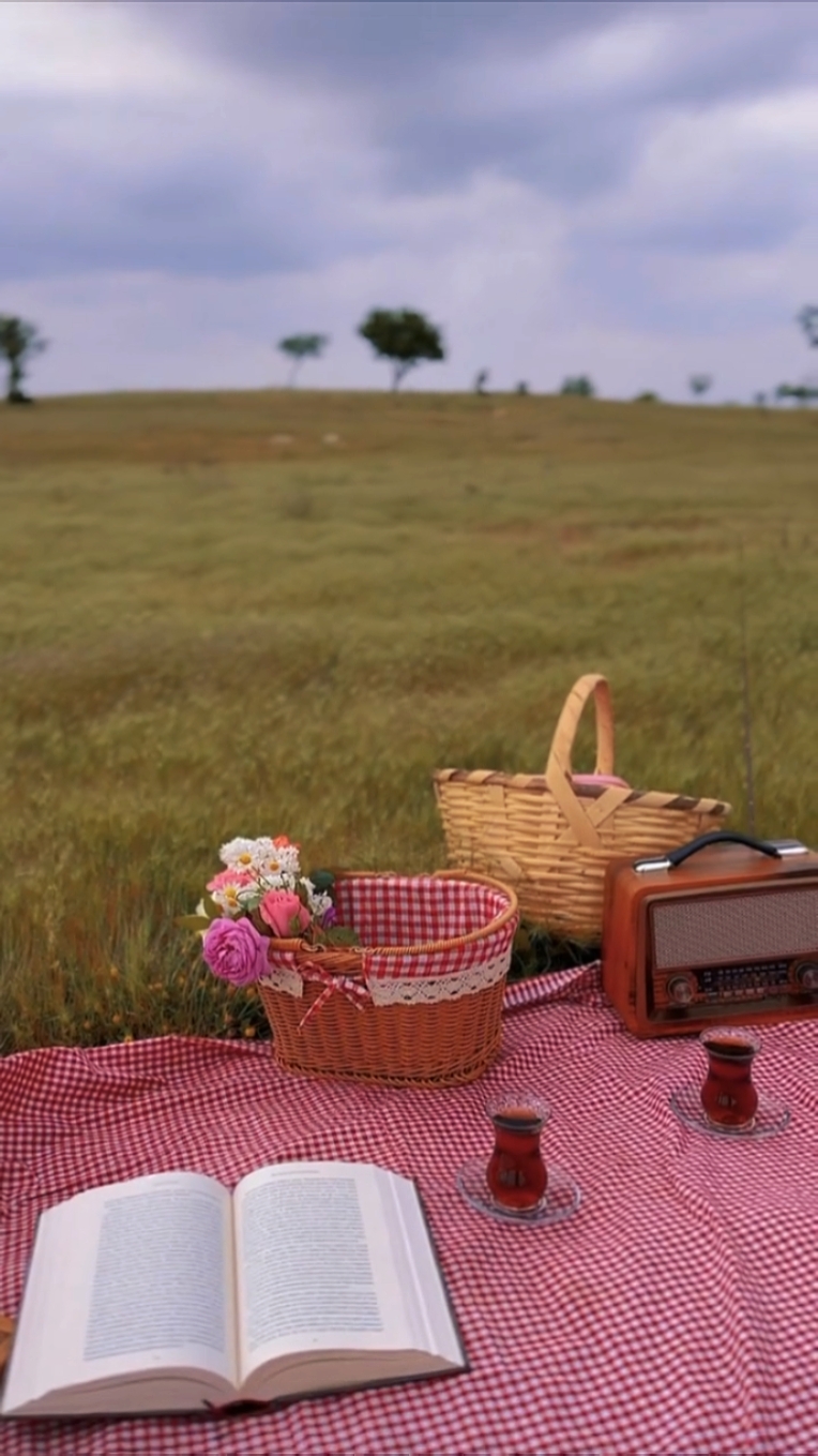 autumn picnic