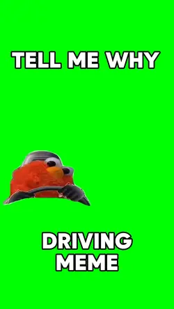 DRIVING MEME