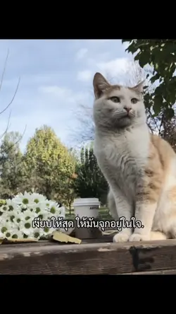 ให้มันจุกอยู่ในใจ