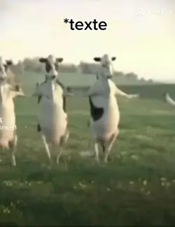 pov t'es fermier