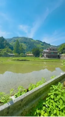 夏、思い出の中。