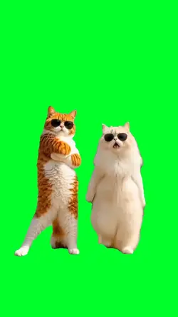 Happy dancing cats