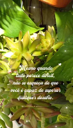 Mesmo quando tudo!