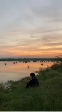 filter senja
