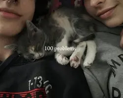 0 problem with cat