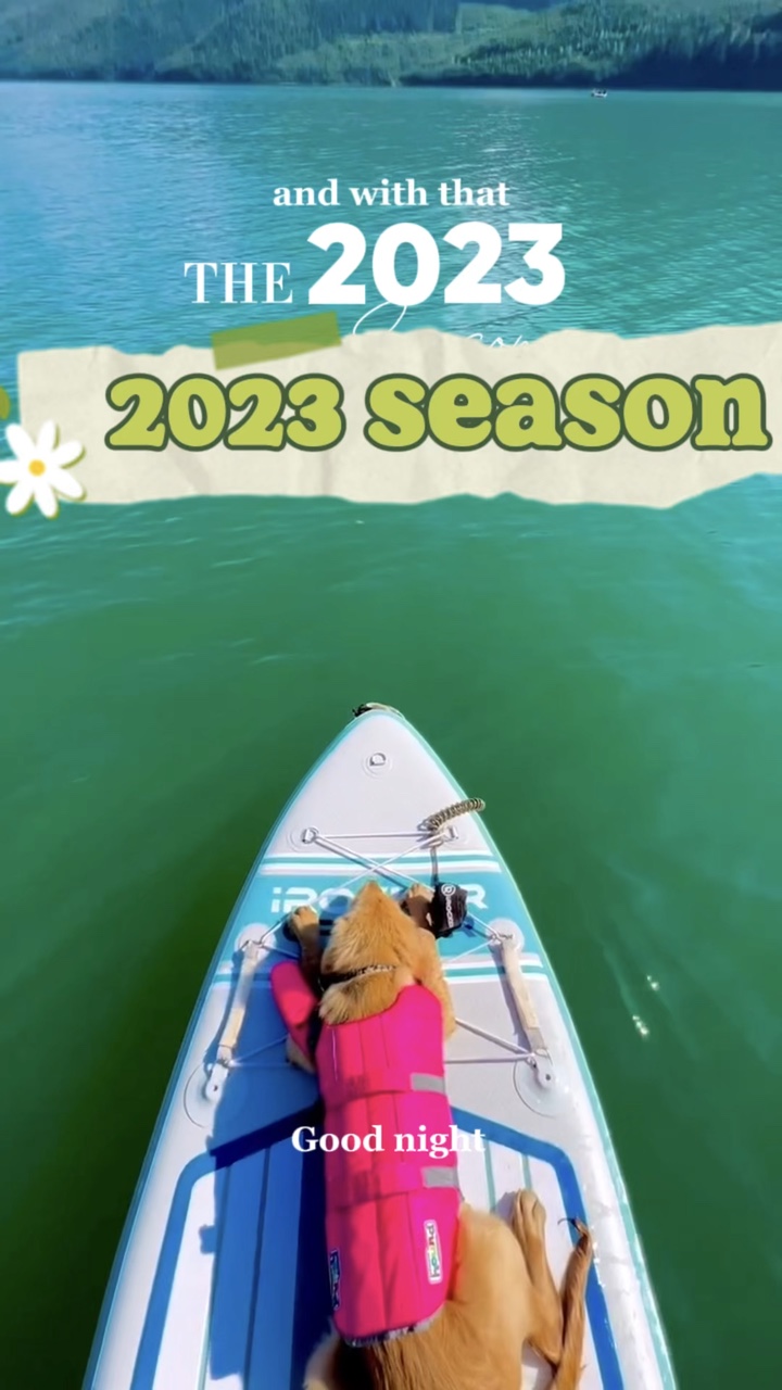 2023 시즌 