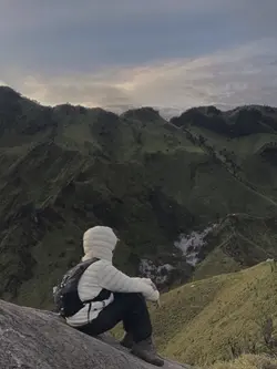 aesthetic