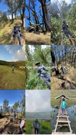 kolase gunung