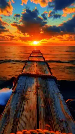 10 video or photo  |