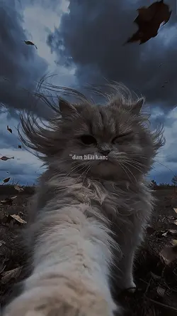 lirik aestetic
