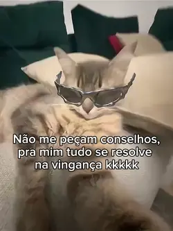 vingança kkk