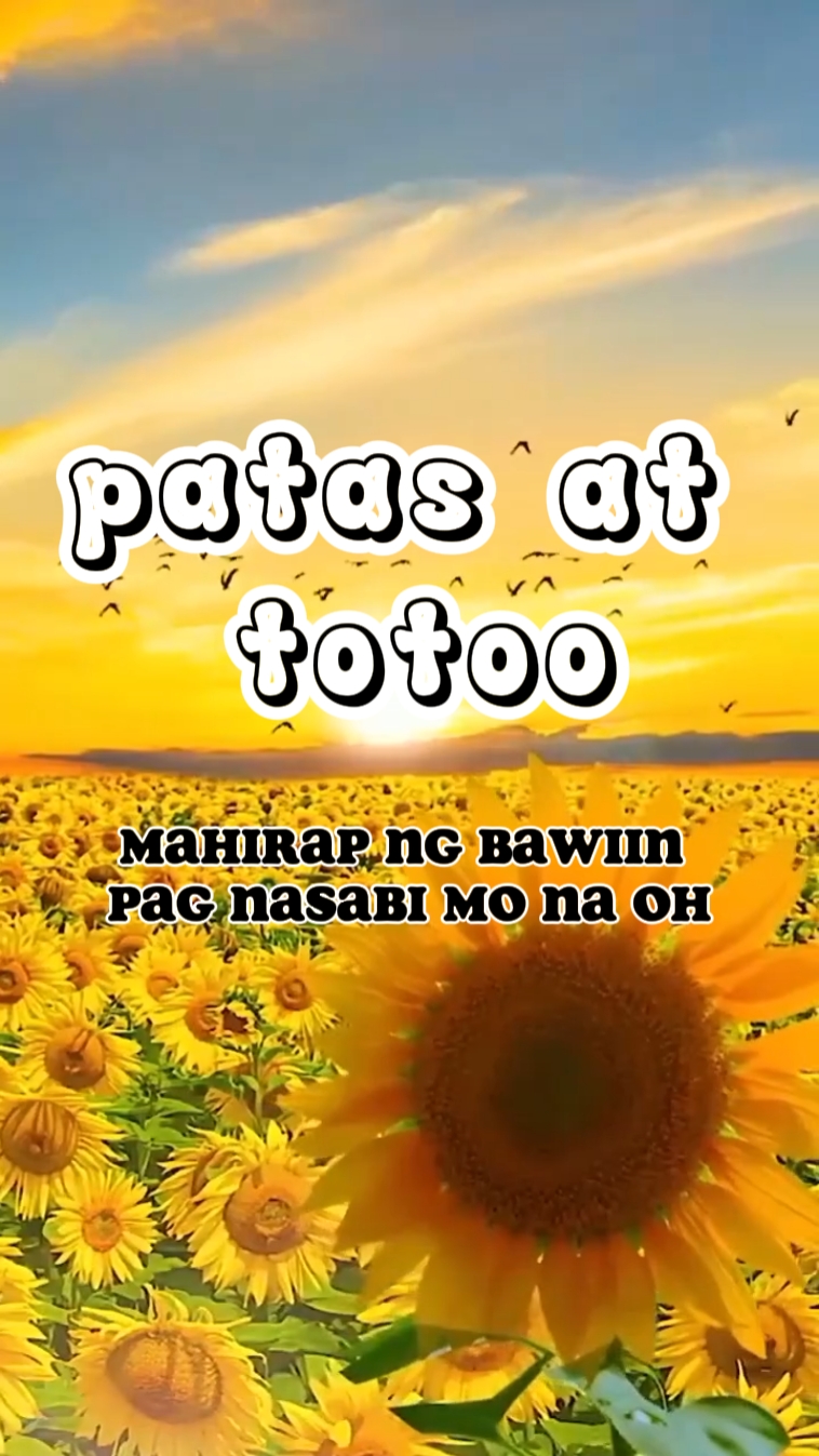 patas at totoo 