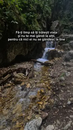 Live the life