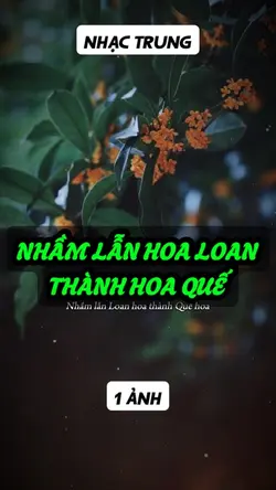Nhạc trung