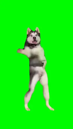 Dancing Dog