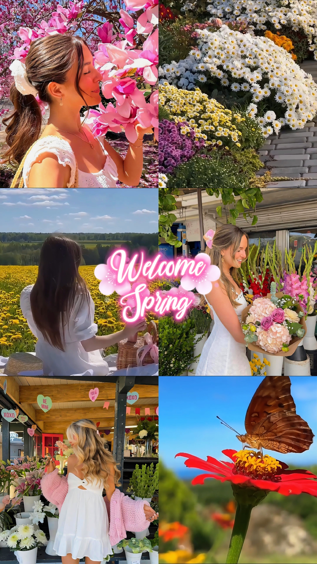 Bienvenido Primavera