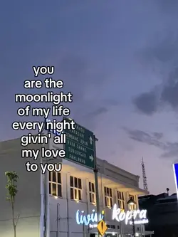 you are the moonligh